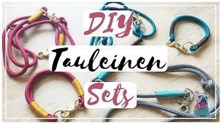 DIY TAULEINE + TAUHALSBAND für den HUND | frauchens.liebling