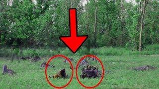 Two Men Claim To Have Captured Footage Of A Real ‘Ghost’ At The Gettysburg Battlefield | DidYouKnow?