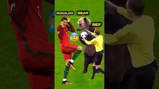 Insane Animal Moments in Football 