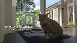 SureFlap Microchip Pet Door For Large Cats And Small Dogs!  PETTECH.CO.UK