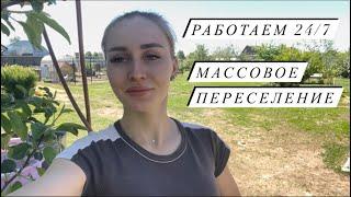 В 23 года, что же забыла в деревне?!Мои будни и мне это нравится!