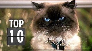 Top Ten Cat Quips and Cameos - Cats in Movies HD