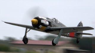 4Kᵁᴴᴰ Focke-Wulf Fw 190 + P-51 Mustang Start up, Taxiing & Display - GREAT SOUND !!