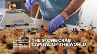 The Stone Crab Capitol of the World