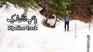 Pipeline Track Nathia Gali | Murree | Pakistan Winter Travel Guide