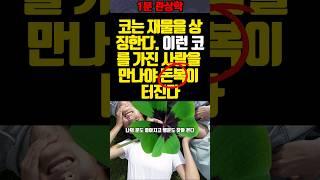 코는 재물을 상징한다.이런코를 가진 사람을 만나야 돈복이 터진다#shorts