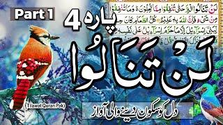 Daily Quran Recitation Para 4 | Quran Pak | Quran Para 4 Part 1 | Tilawat Quran Pak