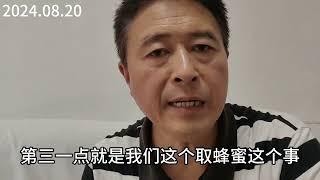 养蜂人自作聪明，蜂蜜做假害人害己，不管你取多少蜂蜜都是垃圾！