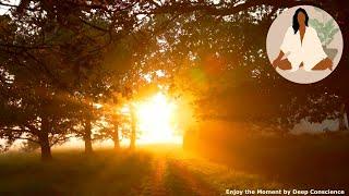  MEDITATIVE AMBIENT MUSIC  deep relaxation healing mind body calmness sleep stress insomnia zen