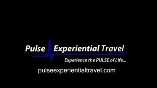 Pulse Experiential Travel