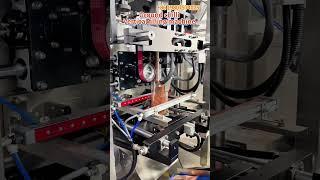 High quality paprika vertical filling sealing machine,spice powder vffs packing machine #spicy