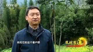 《生财有道》 20230331 文旅经济看中国——四川沐川：观鸟新基地 民宿新体验| 财经风云