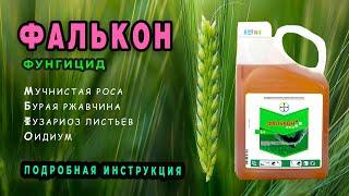 Фунгицид ФАЛЬКОН  - эффективная помощь против болезней растений. Как и когда применять?