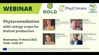 WEBINAR: Phytoremediation with energy crops for biofuel production