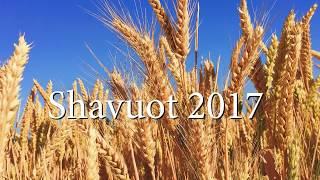 Shavuot 2017