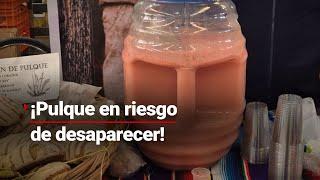 PULQUE EN RIESGO | La producción de esta bebida milenaria está en peligro por enfermedad del maguey