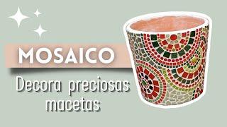 Decora tus MACETAS con MOSAICO - PASO A PASO - ¡HAZLO TÚ MISMO!