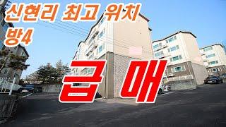 태재펠리스  신현리 태재펠리스4룸 3억2,500 교통 학교 병원등 최고 위치 분당 제일 인접한 공실 신현리빌라