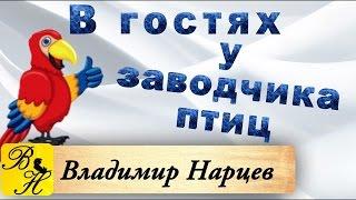 В гостях у заводчика птицы