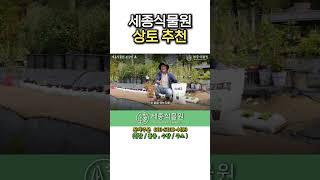 세종식물원 상토 추천 #정원 #흙 #분갈이흙 #상토