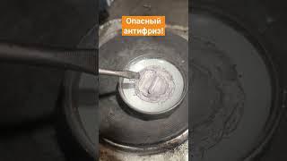 Палёный антифриз