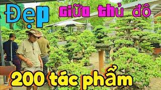 Nhiều TP quý chú Hải y tế trong lòng TP Hà Nội