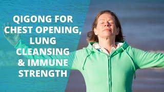 Qigong For Chest Opening, Lung Cleansing And Immune Strength | Chi Gong For Beginners