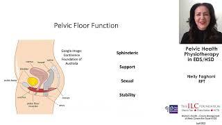 Pelvic Health Physiotherapy in EDS & HSD | Nelly Faghani, RPT