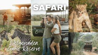 SAFARI in SÜDAFRIKA  | Ablauf, Anreise, Tipps