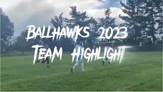 Ballhawks 2023 Season Highlights