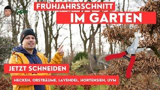 Gartenarbeit Februar/ März - der Rückschnitt von Bäumen und Sträuchern