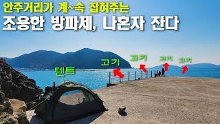 고기 잘 잡히는 방파제로 혼자만의 낚시여행을 떠나볼까..? (30kg배낭, 박선비tv)