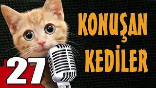 Konuşan Kediler 27 - En Komik Kedi Videoları