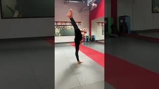 Multiple Kick- Hook to Round Drill #martiakarts #kickboxing #karate #tkd