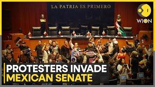 Protesters invade Mexican Senate to halt judicial reform debate | World News | WION