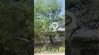 RPS Institute college (Mahendergarh)