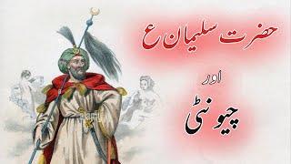 Hazrat Suleman aur Chunti | Hazrat Suleman ka Waqia |  History Ever