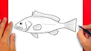 How to draw Red Grouper - Easy Drawing Red Grouper Fish