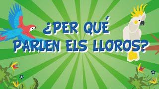 Els lloros. Per què parlen? | Vídeos educatius per a nens en llengua catalana