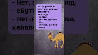 #смех #анекдот