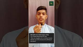 "The Prophet Muhammad’s (ﷺ) Powerful Advice Before Qurbani | Every Muslim Must Know!"#sacrifice