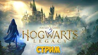 Hogwarts Legacy - IN SEARCH OF GARRY POTTER #1