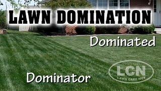 How To Dominate Your Neighbor's Lawn