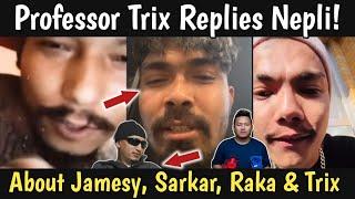 Professor Trix Replies Nepli| Nepli About Jamesy, Jojo Raka, Sarkar & Professor Trix