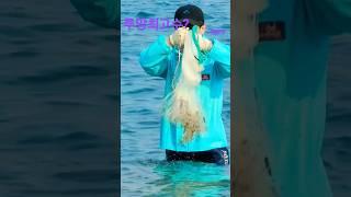 투망최고수는 누구?#바다투망#fishing #shorts#cast #여행#동해바다