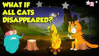 World Without Cats!! | What if All Cats Disappeared? | What If There Were No More Cats? | Dr. Binocs