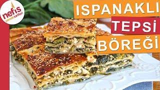 Kat Kat Ispanaklı Tepsi Böreği - çok beğenilen kolay börek tarifi