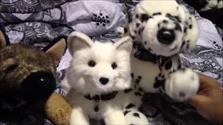 ️Douglas Yuki Arctic Fox Plush Package️