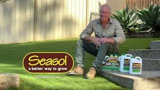 Seasol for Lush Green Lawns - 15s