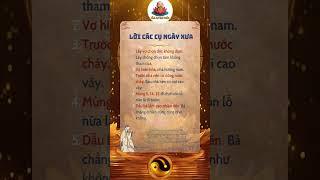 Khám phá sức mạnh của tử vi và phong thủy trong 1 giờ, Nhân Tướng | 𝐓â𝐦 𝐀𝐧 𝐕ạ𝐧 𝐏𝐡ú𝐜 #phongthuy #tuvi